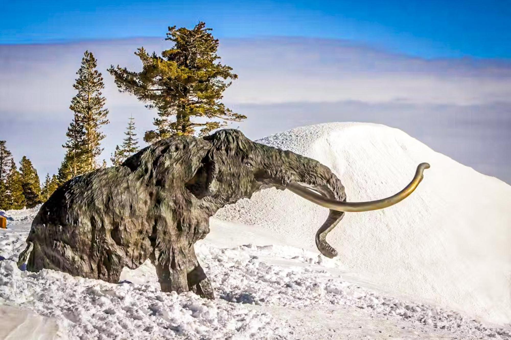 Discovery 4 119 Mammoth Lakes Luaran gambar